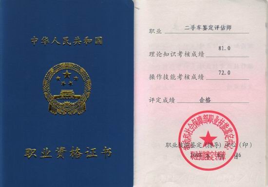 it技能服务_it服务项目经理证书_电商 供应链金融 it咨询 服务 公司