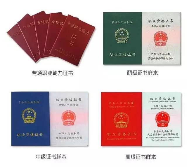 it技能服务_电商 供应链金融 it咨询 服务 公司_it服务项目经理证书