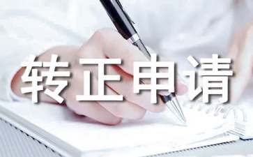 IT技术员转正申请书