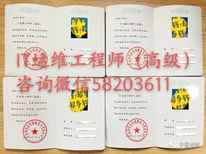 it运维技术_摩卡it运维管理 报价 软件_it专业linux系统网络运维讲师个人介绍