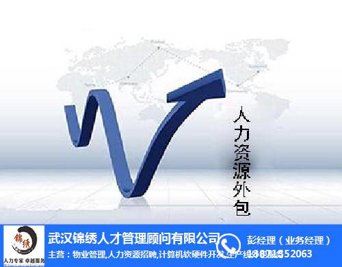 it外包市场分析及营销模式探讨_it外包维护方案_it技术外包