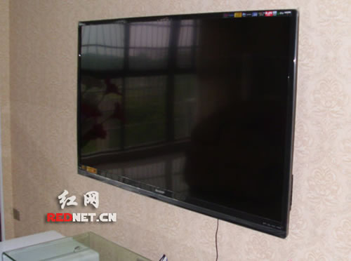 it技术人员_it人员 知乎_it人员好学吗