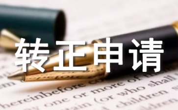 IT技术人员转正申请书