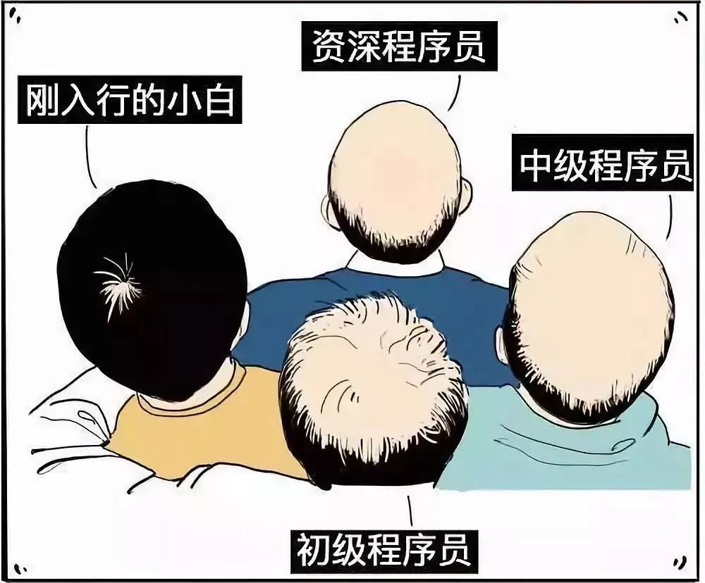 it姐妹技术论坛_it技术工程师_it技术负责人岗位职责