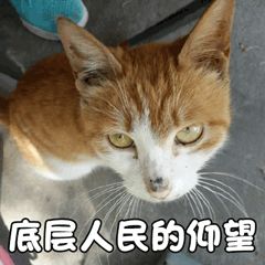 信息安全运维服务_服务器运维_it运维服务管理体系