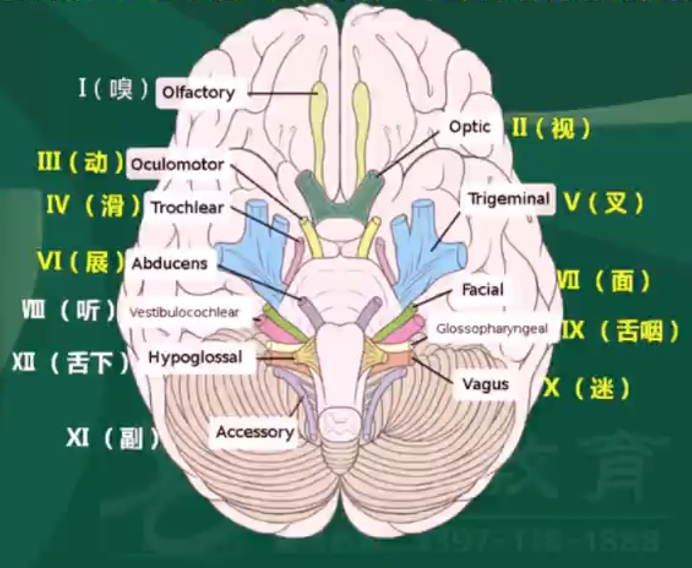 电梯调试员技术比维保高_物联网技术调试员论坛_it技术员
