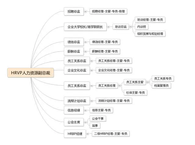 工程管理培训师_it工程师_it工程公司简介