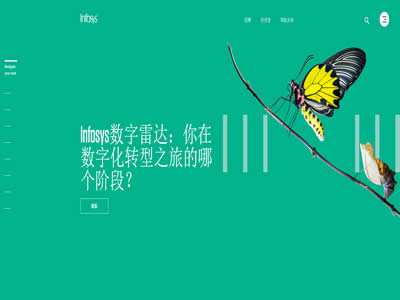 印孚瑟斯技术有限公司